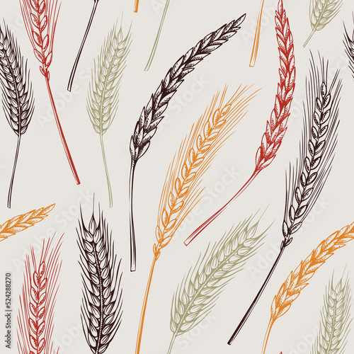 Cereals seamless pattern. Hand-drawn botanical element in sketched style. Thanksgiving background with wheat illustrations. Cereal plants vector backdrop for wrapping paper and textile