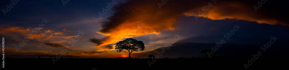 Evening sky of africa and orange sunset with silhouettes of acacia trees and sun setting on the horizon in the Serengeti Park plains, Tanzania, Africa.Wild safari landscape. - obrazy, fototapety, plakaty 