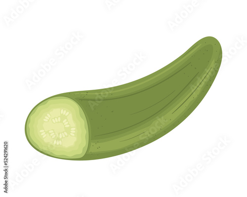 cucumber vegetable icon