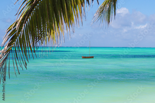 beach with palm trees