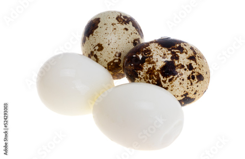 quail eggs isolated