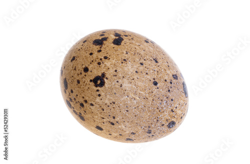 quail eggs isolated