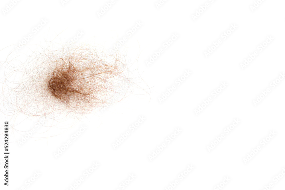 Fototapeta premium Hair loss, hair loss every day, serious problems and hair loss on a white background.