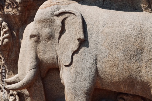 Bas relief rock cut sculptures of Elephant are carved in the monolithic granite rocks in Mahabalipuram, Tamil nadu. Ancient historical bas relief sculpture carved in the stone rock in Mahabalipuram.