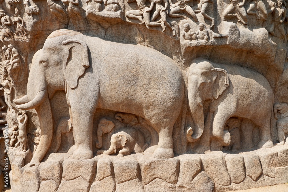 Bas relief rock cut sculptures of Elephant are carved in the monolithic granite rocks in Mahabalipuram, Tamil nadu. Ancient historical bas relief sculpture carved in the stone rock in Mahabalipuram.