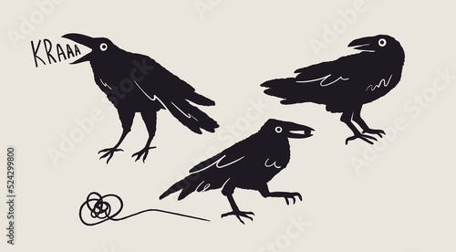 Set of black Raven or Crow birds. Different poses. Cartoon style, flat design. Halloween, horror concept. Hand drawn trendy Vector illustration. Every bird is isolated photo