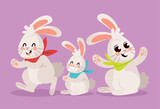 icons of cute rabbit