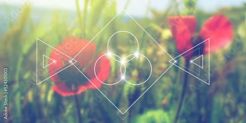 Flower of life sacred geometry spiritual new age futuristic illustration with interlocking circles, triangles and glowing particles in front of blurry natural photographic background