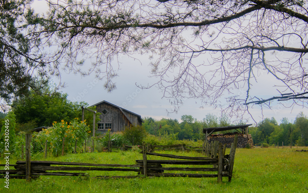 Old barn on a farm in the canadian countryside in Quebec
canada, quebec, barn, traditional, tree, view, architecture, farm, house, meadow, wooden, background, wood, building, travel, beautiful, sky, Old barn on a farm in the canadian countryside in Quebec
canada, quebec, barn, traditional, tree, view, architecture, farm, house, meadow, wooden, background, wood, building, travel, beautiful, sky,
