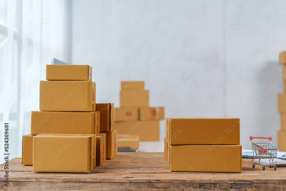 SME delivery box package close up putting in the room. SME delivery box package close up putting in the room.