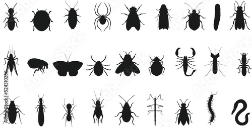 Canvastavla Insect beetle isolated bug fly beetle isolated Vector Silhouettes