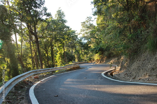 curve road down hill with tree forest