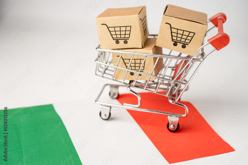 Box with shopping cart logo and Italy flag, Import Export Shopping online or eCommerce finance delivery service store product shipping, trade, supplier concept.