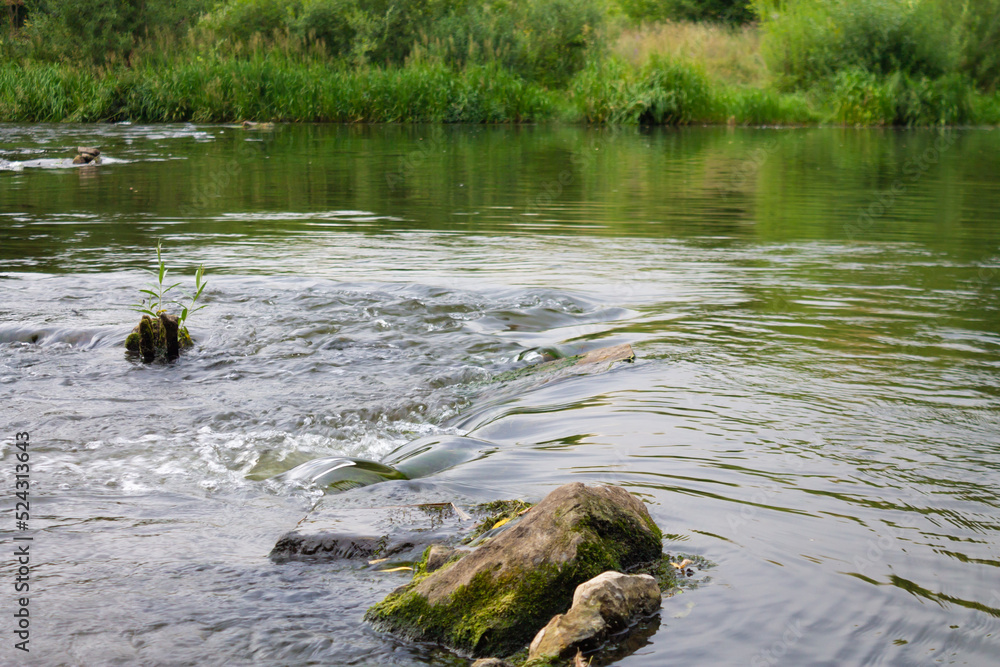 Stones in the water of a river stream Stones in the water of a river stream