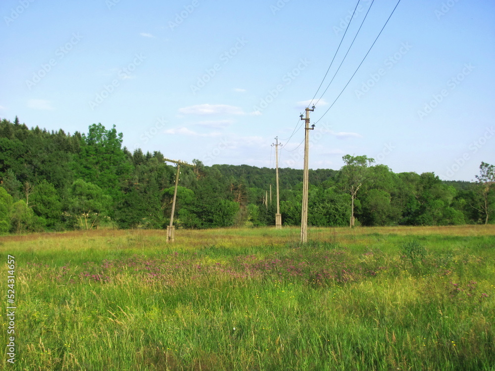 A new power line through a field and a forest