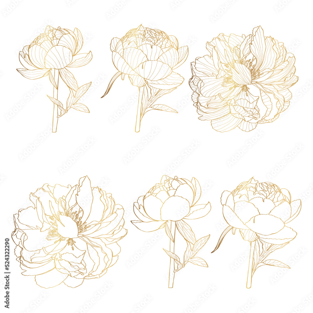Decorative golden peony flowers, design elements. Can be used for cards, invitations, banners, posters, print design. Golden floral background in line art style.