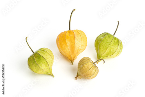 Alkekengi officinarum or Chinese lantern of different colors isolated on white background photo