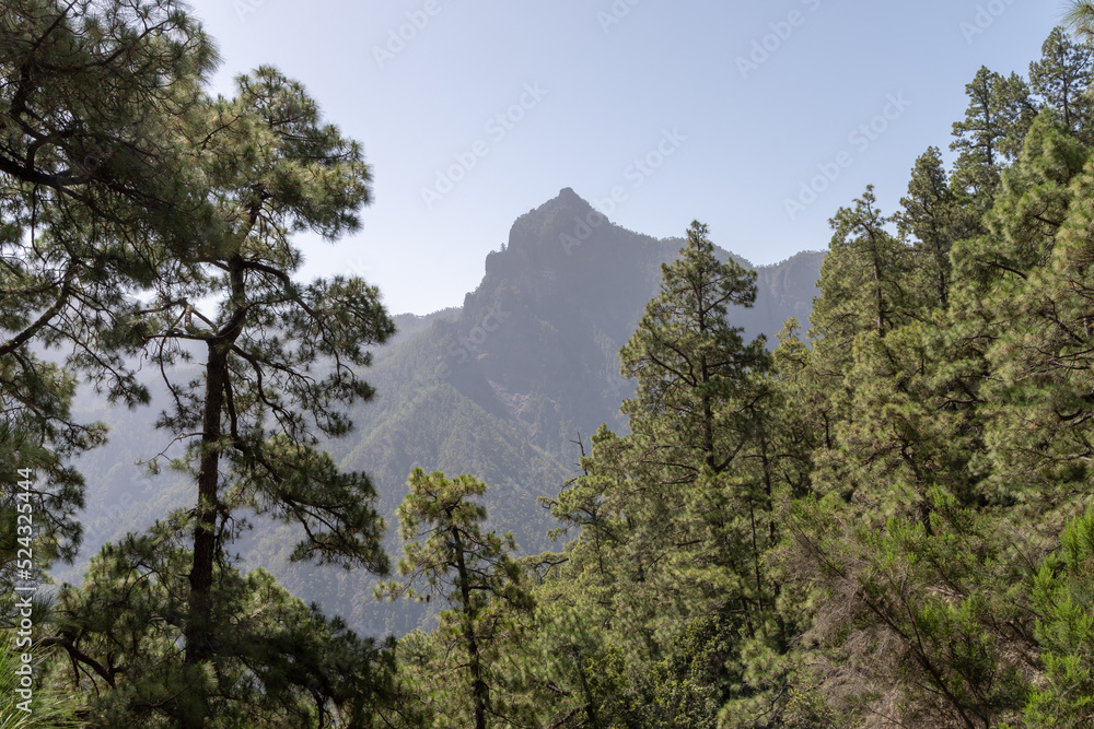 Photo & Art Print Parque Nacional de la Caldera de Taburiente, Iskan