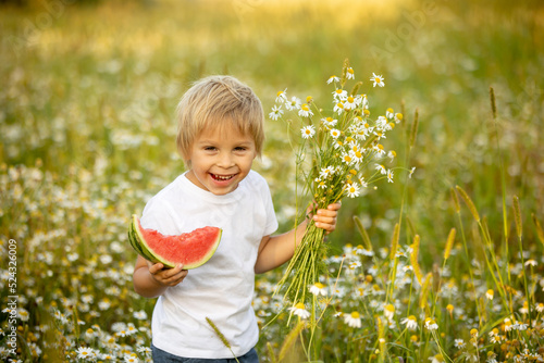 Cute little toddler child, blond boy, eating watermelon in beautiful daisy field
