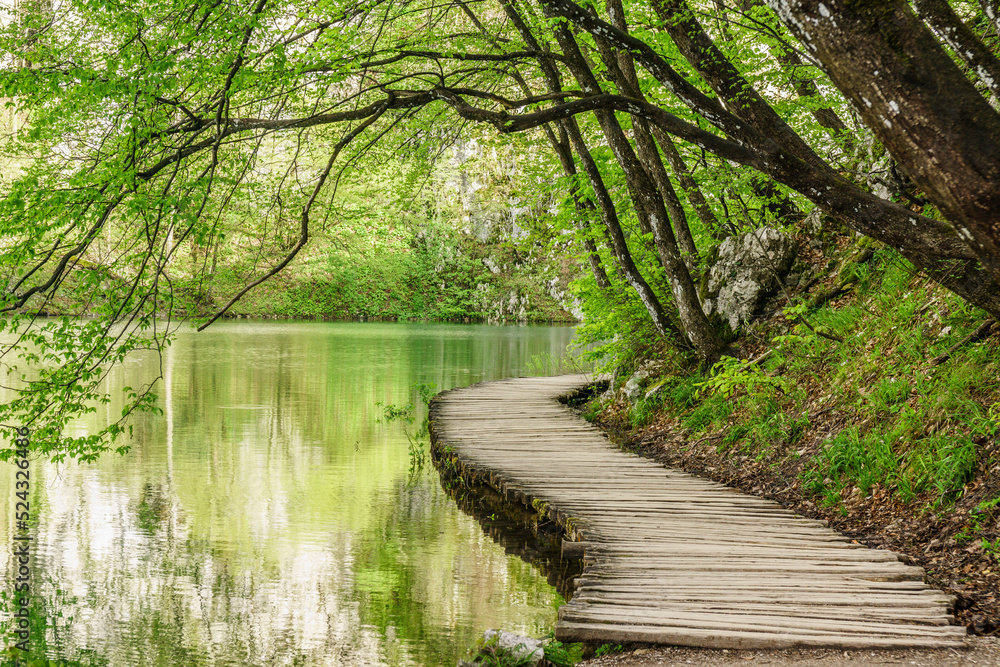 Obraz premium Parque Nacional de los Lagos de Plitvice, Patrimonio Mundial de la UNESCO, Croacia, europa