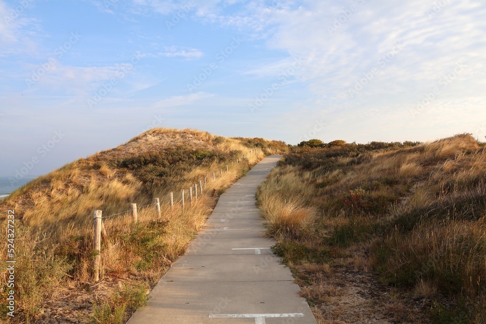 Dunes by the sea with walking path. Dishoek. The Netherlands.