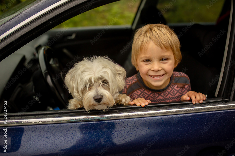 Child, toddler boy with maltese dog, staying in the car behind the windon on a rainy day Child, toddler boy with maltese dog, staying in the car behind the windon on a rainy day