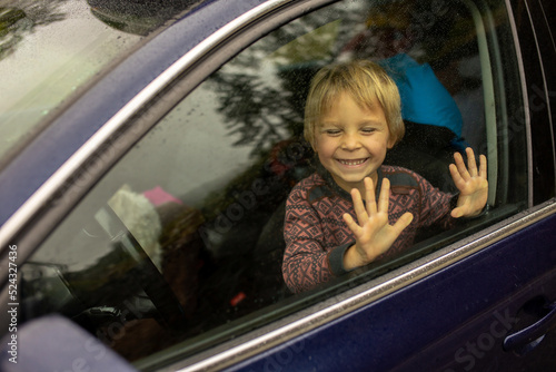 Child, toddler boy with maltese dog, staying in the car behind the windon on a rainy day photo