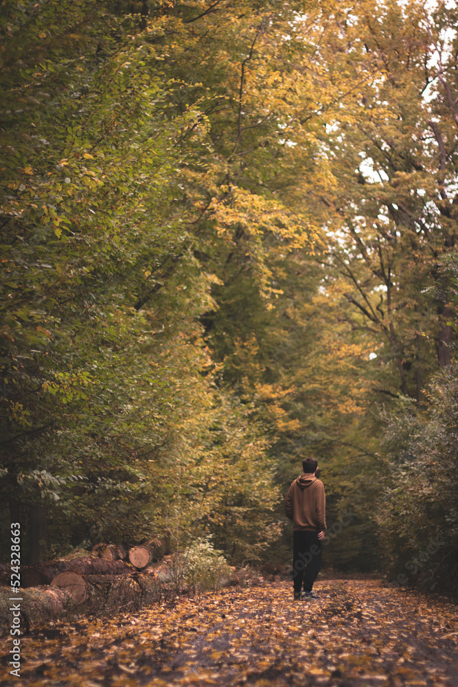 Obraz premium Jesienny spacer