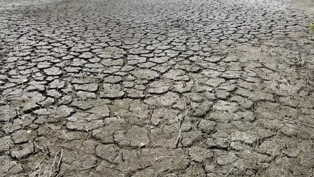 Une partie d'un étang asséché par les fortes chaleurs en été Une partie d'un étang asséché par les fortes chaleurs en été