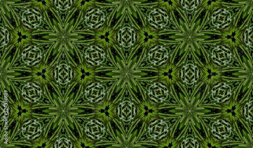 Abstract seamless texture from photo of fir branches