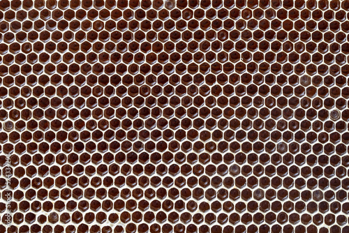 Wallpaper Mural Honeycomb with honey. Background texture and pattern of a section of wax honeycomb from a bee hive filled with honey. Torontodigital.ca