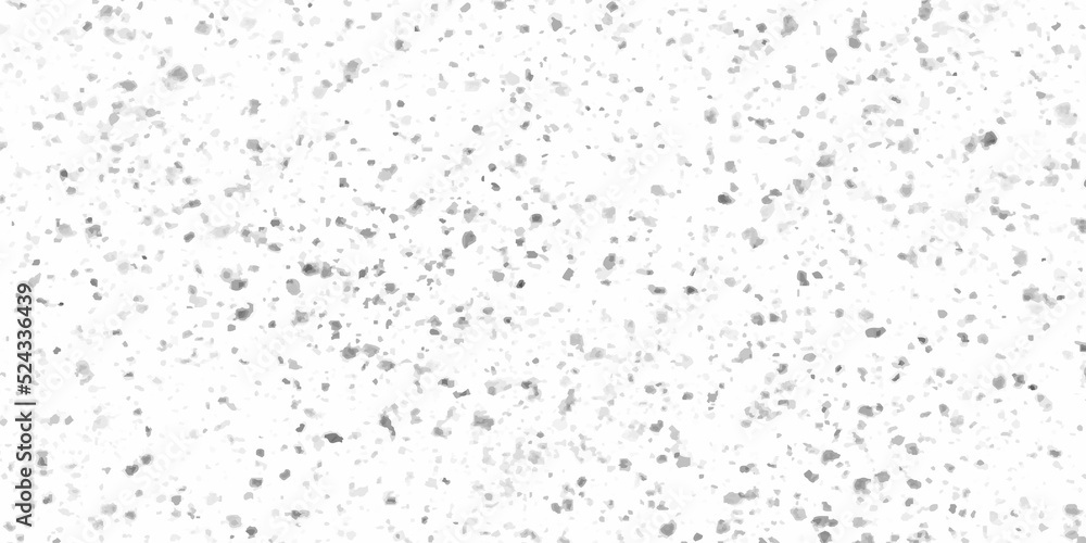 Fototapeta premium White Grunge terrazzo Stone Wall or floor surface texture, Modern stylize grey painted limestone or floor tile texture, Black and white speckled background for wallpaper, banner, design, and arts.