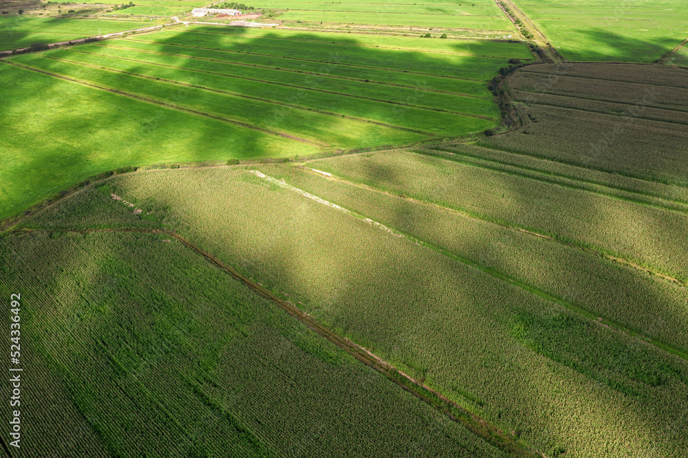 Green agricultural field with clouds shadows and spots of light aerial