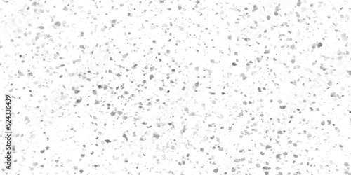 White Grunge terrazzo Stone Wall or floor surface texture  Modern stylize grey painted limestone or floor tile texture  Black and white speckled background for wallpaper  banner  design  and arts.