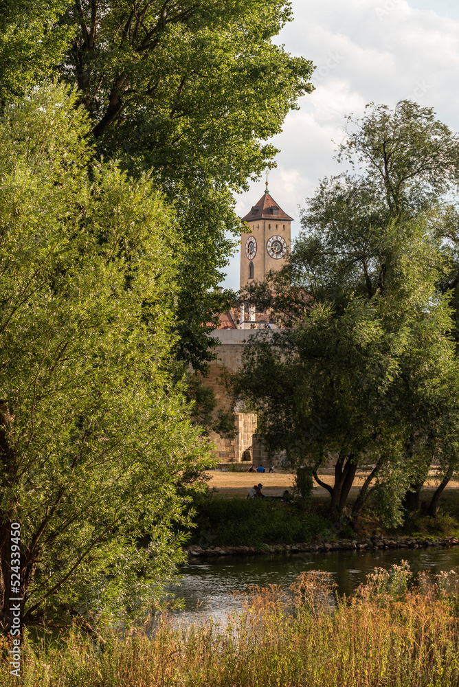 Rathausturm in Regensburg durch Bäume gesehen