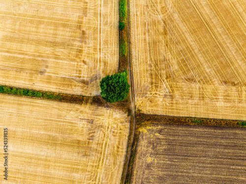 Geometric shapes, Briston, Norfolk, UK