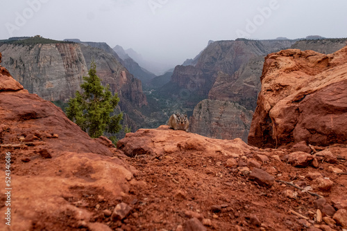 Tablou pe pânză Observation Point Zion NP Utah USA