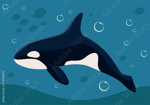 orca whale marine life