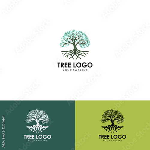 Abstract tree logo and roots design