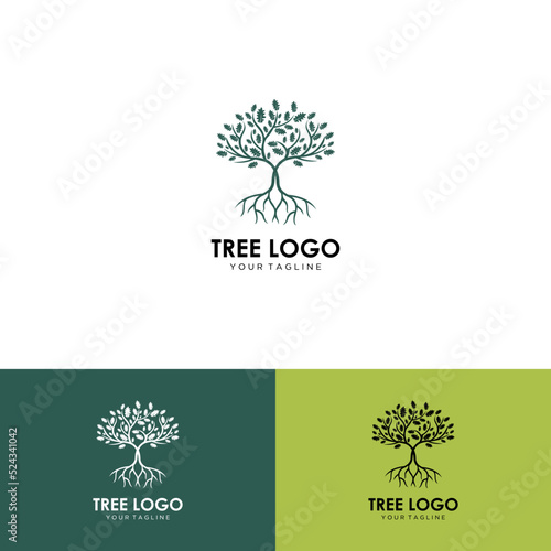 Abstract tree logo and roots design