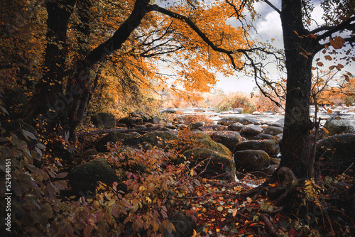 Autumn river in the forest with large stones. Selective focus