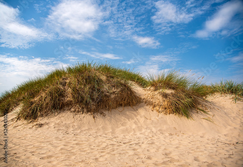 Landscape photography of dune, sand, sedge, beach