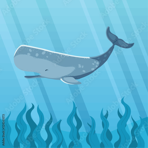 sperm whale in the surface sea