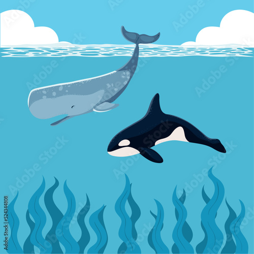 orca and sperm whales