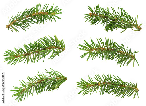 wide spruce garland. Border of fir branches for Christmas. Branches Border   isolated on white background.