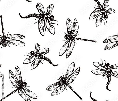 Dragonfly. Vector drawing