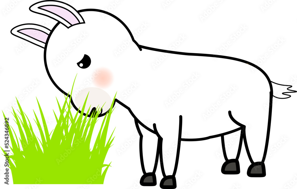 Naklejka premium 草を食べるラマ