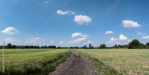 Panorama ścieżki w krajobrazie wiejskim w porze letniej, pola i drzewa w oddali na tle błękitnego nieba z lekko pochmurną pogodą
