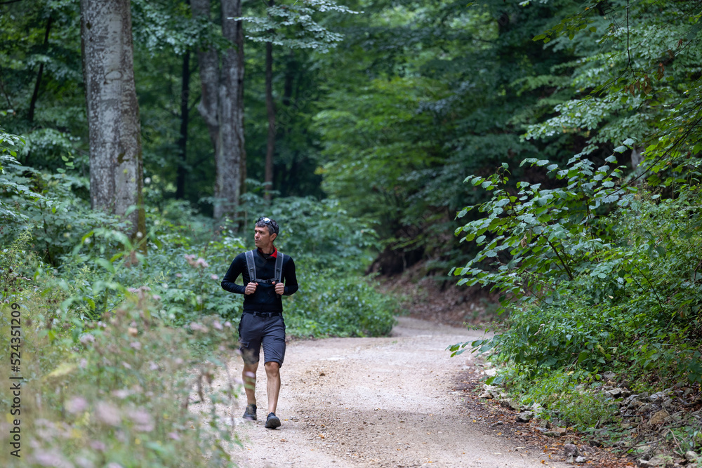 Obraz premium Man hiking in forest