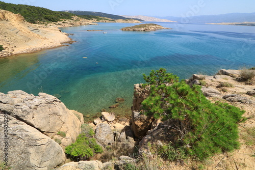 Green bushes grow on the rocky coast of the Adriatic Sea
